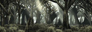File:FUC Stage Select Forest.png