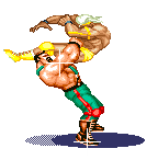 RingDest Haggar S Throw 1.png